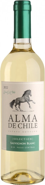 Вино Alma de Chile Sauvignon Blanc, Valle Central DO, 2022