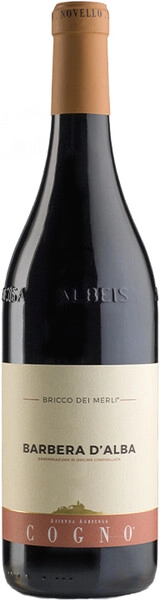 Вино Elvio Cogno, Bricco dei Merli Barbera d'Alba DOC, 2016