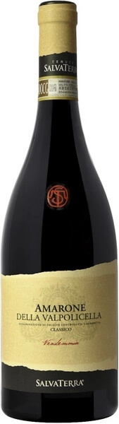 Вино SalvaTerra, Amarone della Valpolicella Classico DOCG, 2017