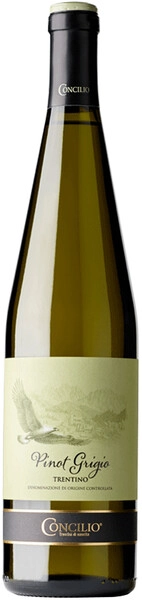 Вино "Concilio" Pinot Grigio, Trentino DOC, 2024