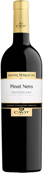 Вино Mastri Vernacoli Pinot Nero, Trentino DOC, 2021