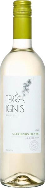 Вино Terra Ignis Sauvignon Blanc, Central Valley DO, 2023