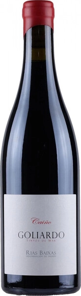 Вино Forjas Del Salnes, Goliardo, Rias Baixas DO, 2017