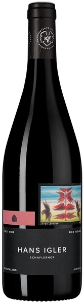 Вино Hans Igler, Pinot Noir "Ried Fabian", 2019