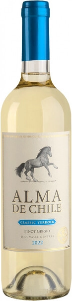 Вино Alma de Chile Pinot Grigio, Valle Central DO, 2022