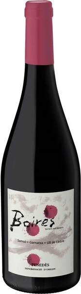 Вино Alsina & Sarda, Boires, Penedes DO