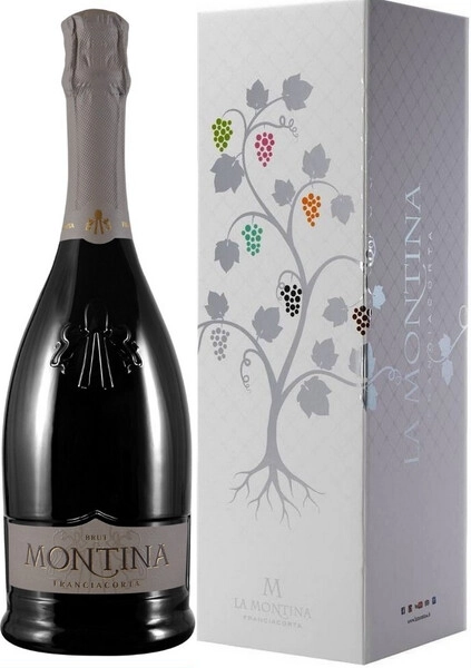 Игристое вино Montina, Franciacorta DOCG Brut, 2023, gift box
