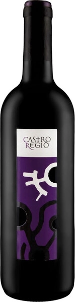 Вино Castro Regio Red Dry