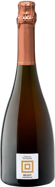 Игристое вино Chateau Tamagne Select Blanc Semi-sweet