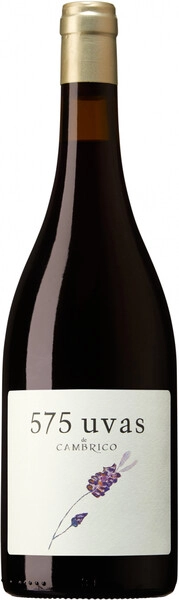 Вино Cambrico, 575 Uvas de Cambrico, Sierra de Salamanca DOP, 2017