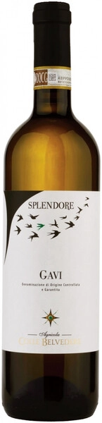 Вино Colle Belvedere, Splendore Gavi DOCG, 2018