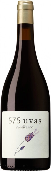 Вино Cambrico, 575 Uvas de Cambrico, Sierra de Salamanca DOP, 2018