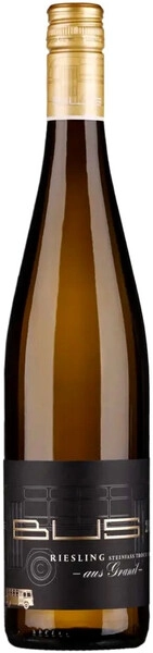 Вино Weingut Bus, Riesling Steinfass aus Granit Trocken, 2020