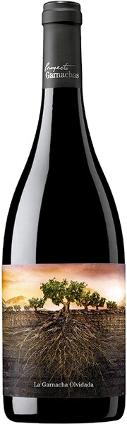 Вино "La Garnacha Olvidada" de Aragon, 2022
