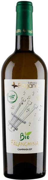 Вино Fattoria Pagano, Falanghina Bio, Campania IGT, 2023