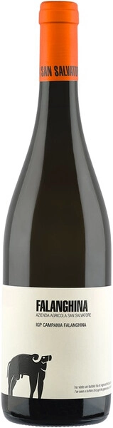 Вино San Salvatore, Falanghina, Campania IGT, 2022