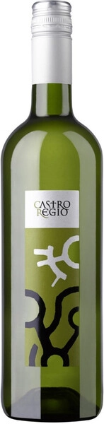 Вино Castro Regio White Dry
