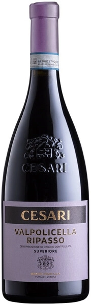 Вино Gerardo Cesari, Valpolicella Ripasso Superiore DOC, 2021