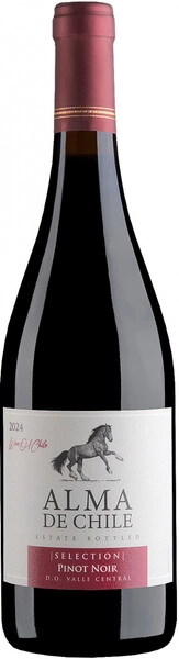 Вино "Alma de Chile" Pinot Noir, Valle Central DO, 2024