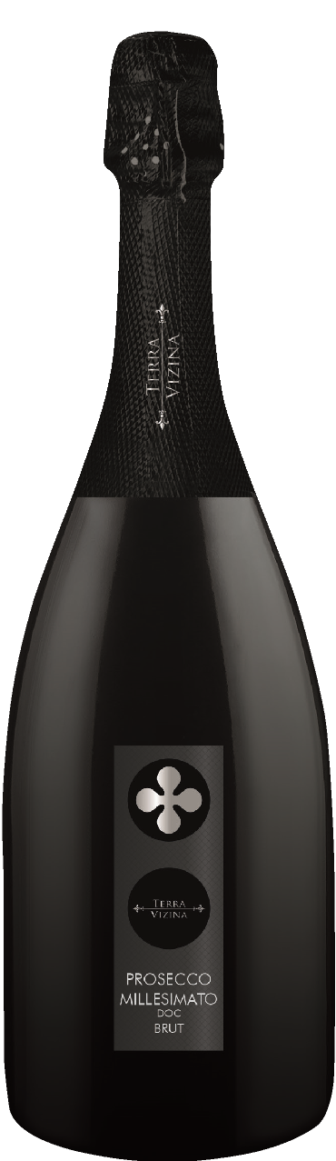 Игристое вино Terra Vizina Prosecco DOC Brut Millesimato, 2023 