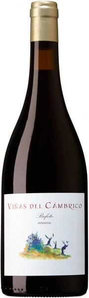 Вино Vinas del Cambrico, Miranda Rufete, Sierra de Salamanca DOP, 2017
