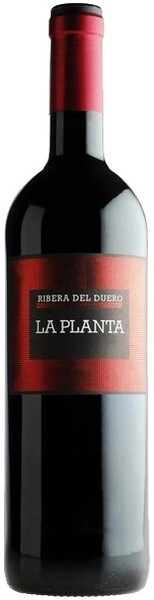 Вино Arzuaga Navarro, La Planta, Ribera del Duero DO, 2023