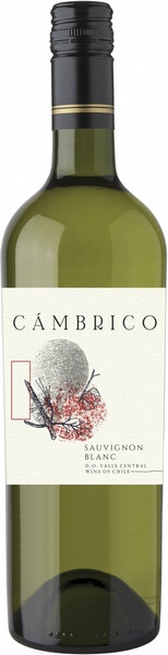 Вино Cambrico Sauvignon Blanc, Valle Central DO